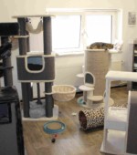 Unsere Räume Svg+xml,%3Csvg%20xmlns%3D%22http%3A%2F%2Fwww.w3